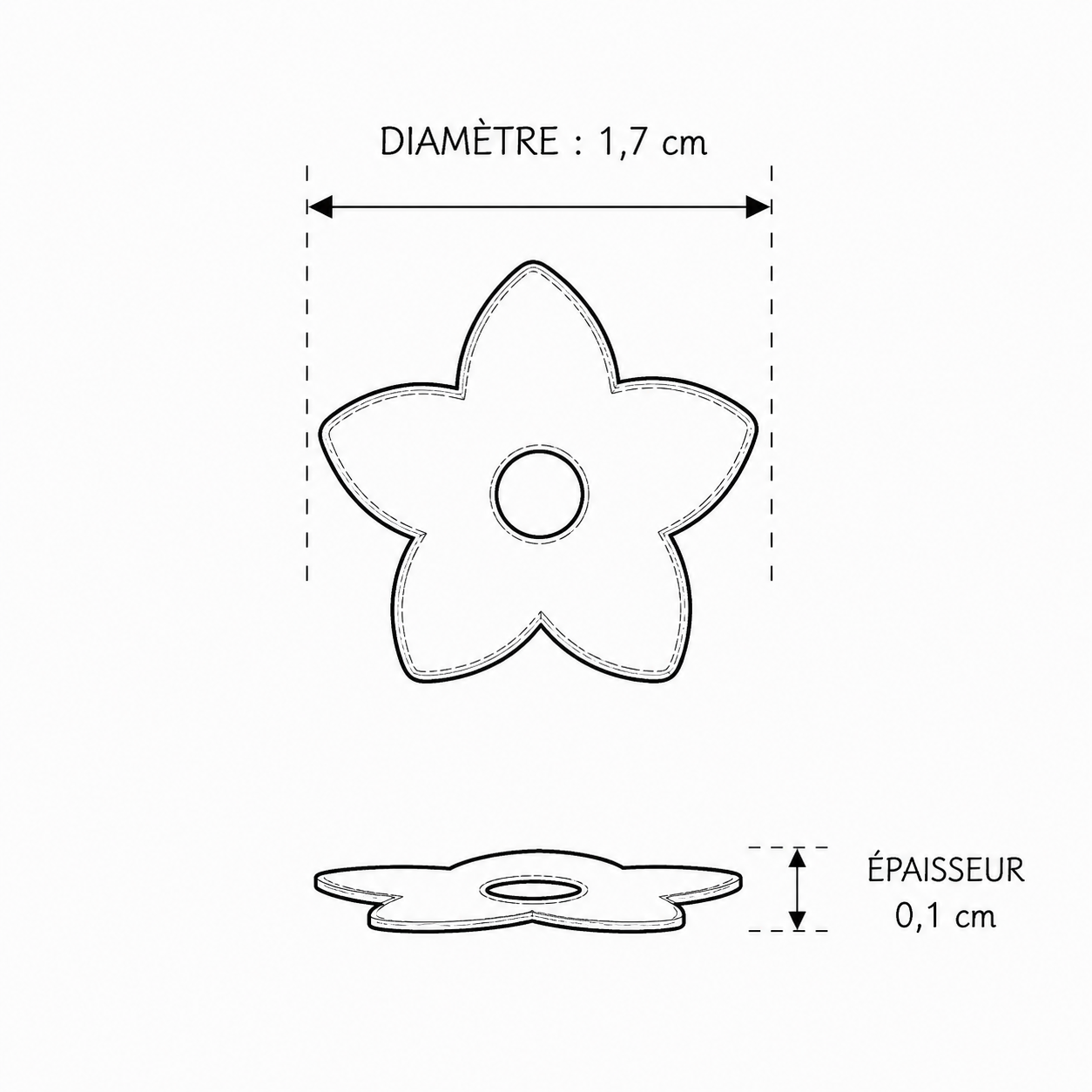 Étoile Menthe Givrée